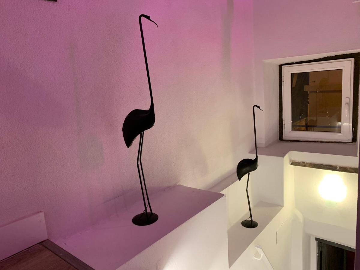 Casita del Flamingo en Casco Histórico Alicante Exterior foto